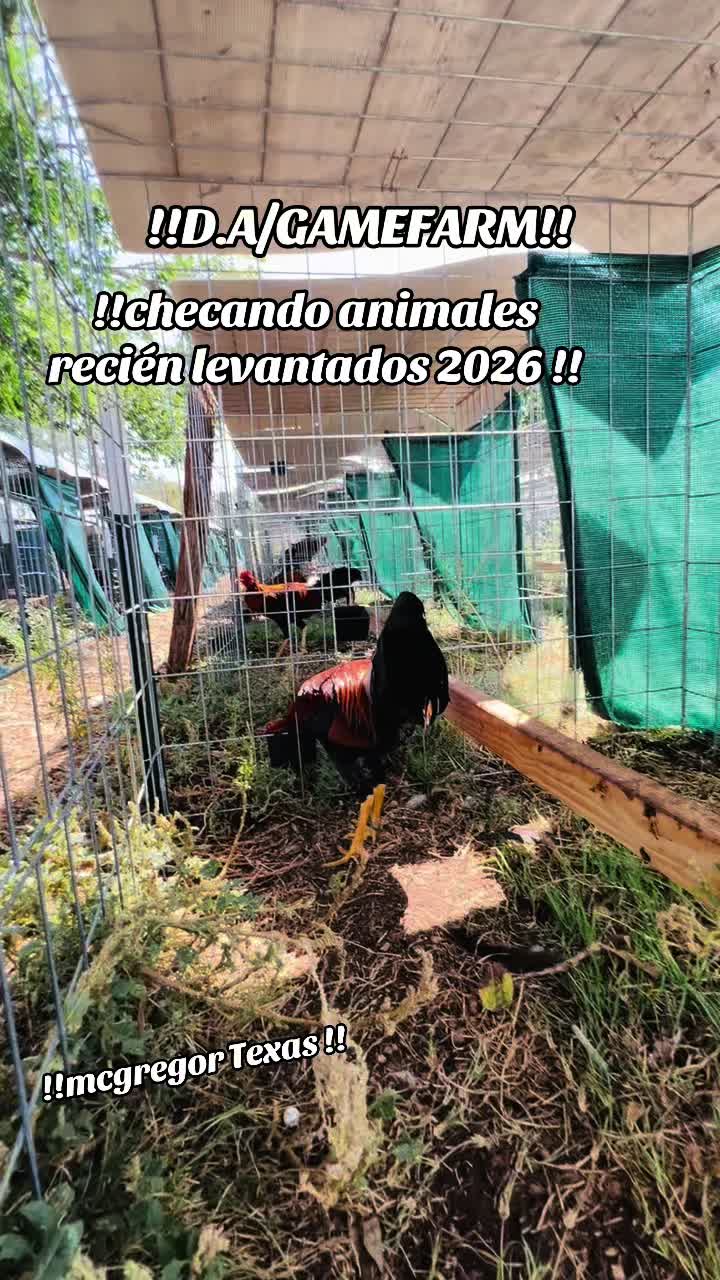 @DAgamefarm