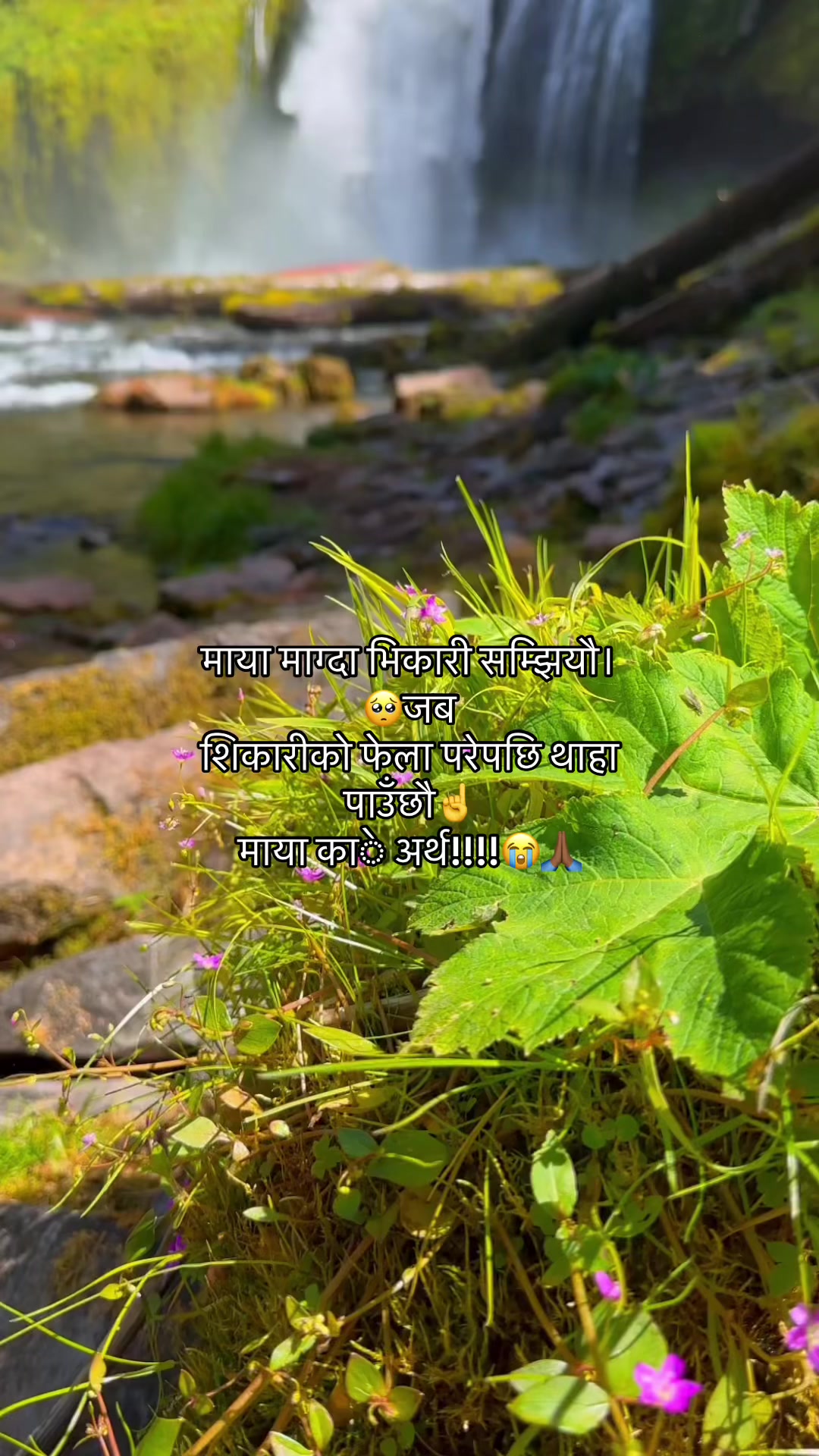 @मनछुनेलाईनहरू🥺