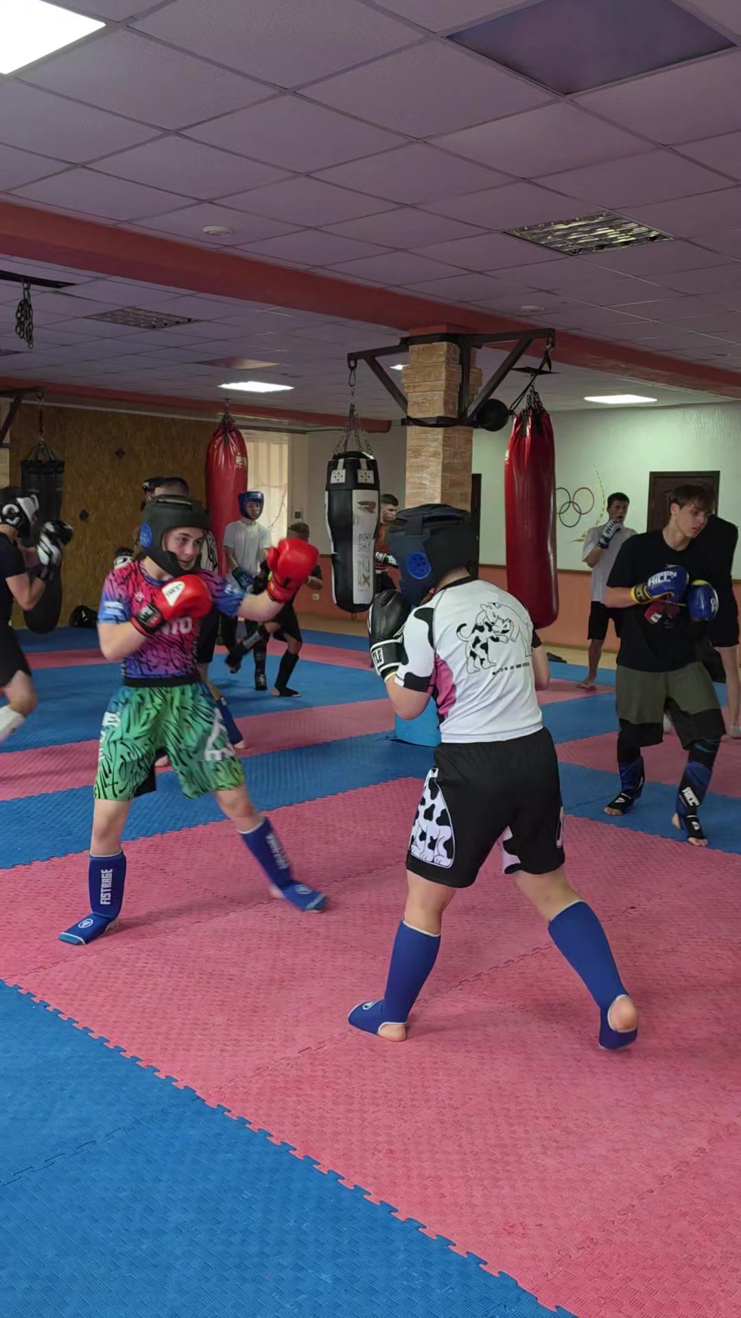 @Coach of MMA 🔥