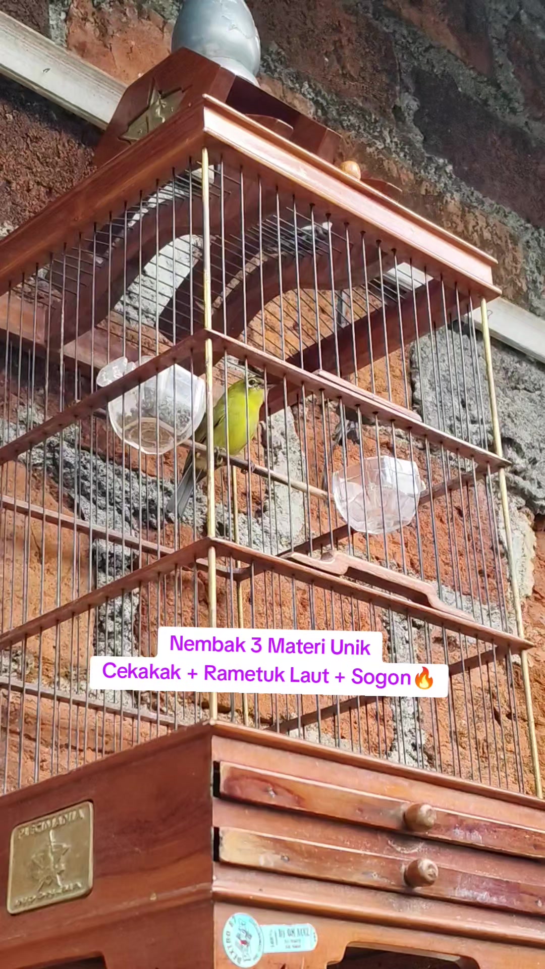 @NDX BIRD FARM