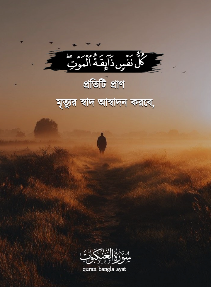 @➤⃝⃝কুরআনের বাণী᭄quran Bangla