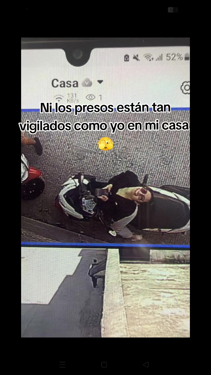 @Brenda Cardoso