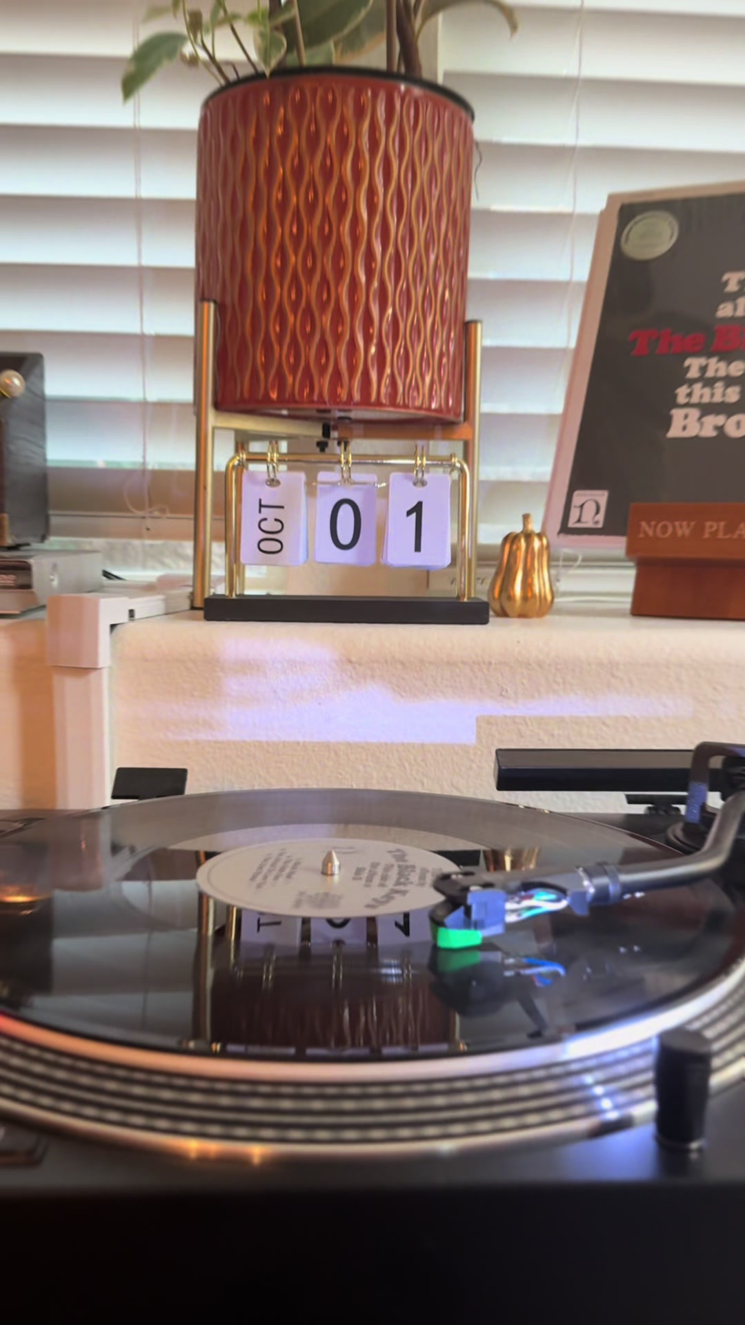 @Vinyl Daily Plays