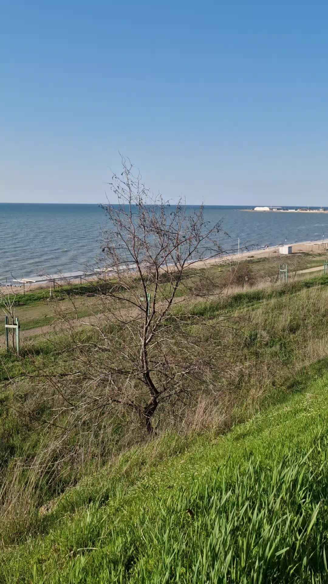 @Анжелика