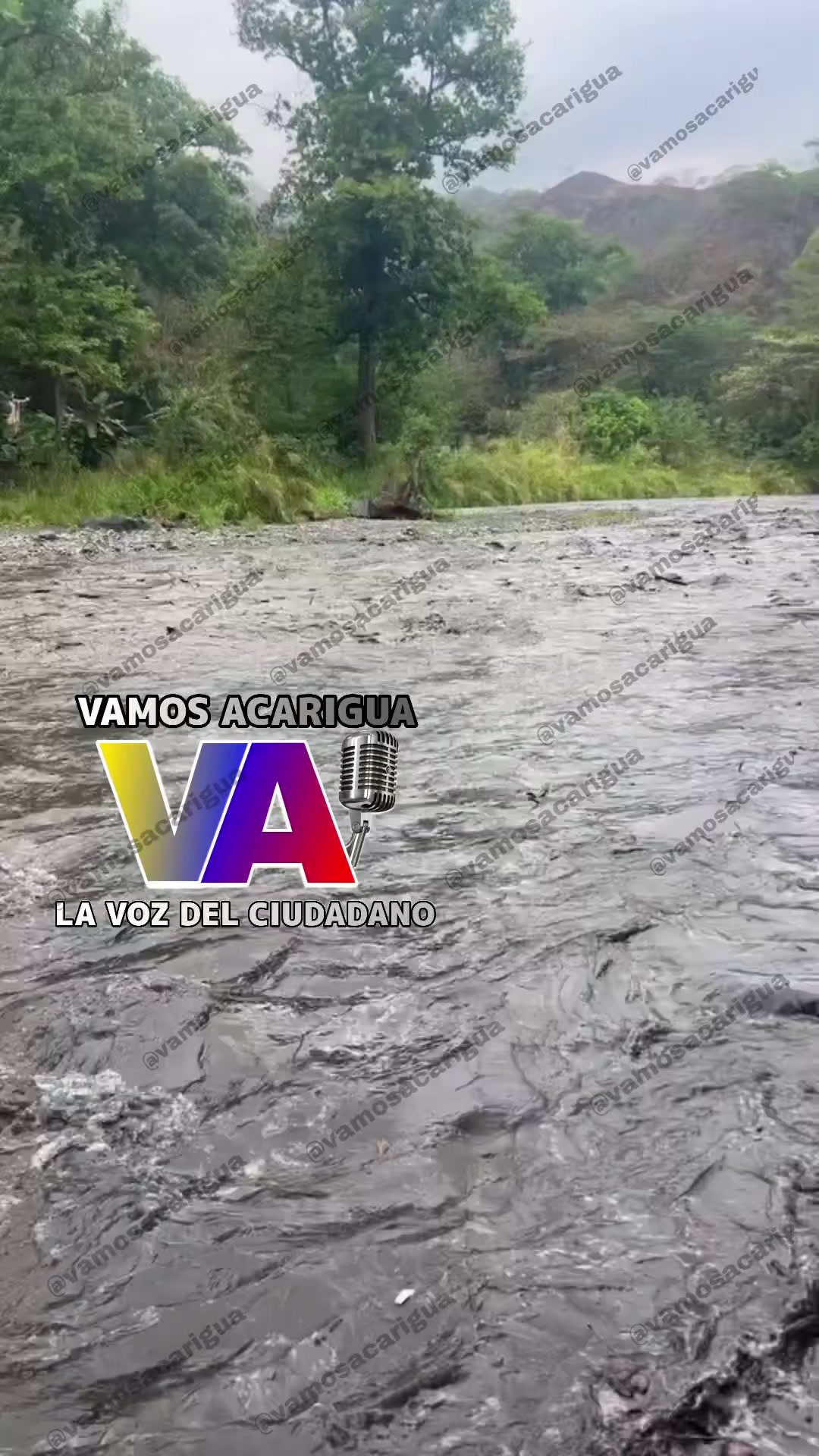 @Vamos Acarigua
