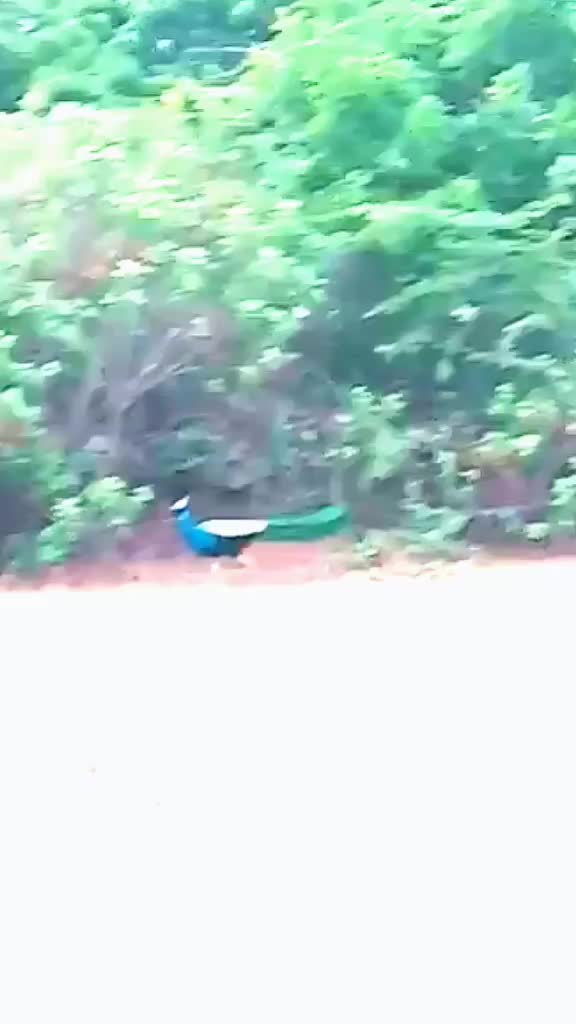 @Kartik Kasta