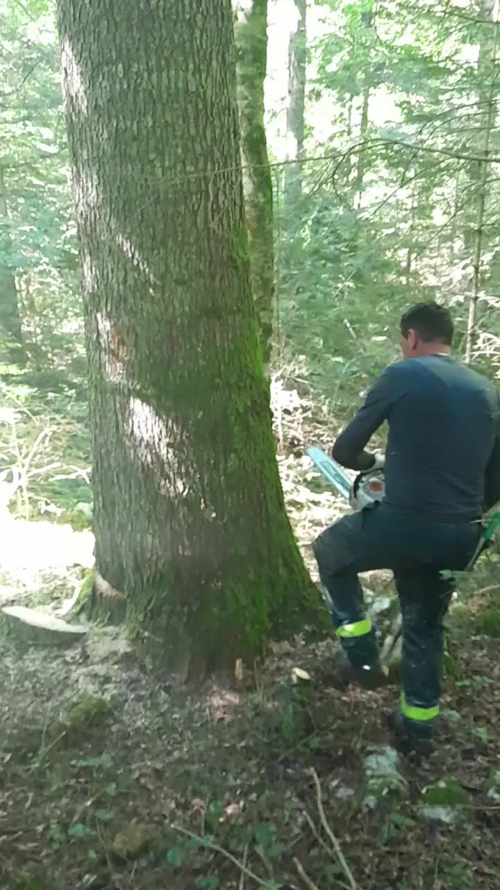 @amirhodzic881