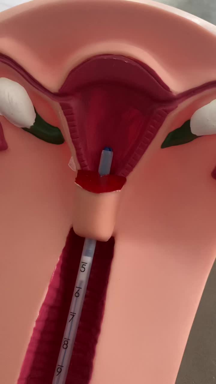 @MidwifeMama