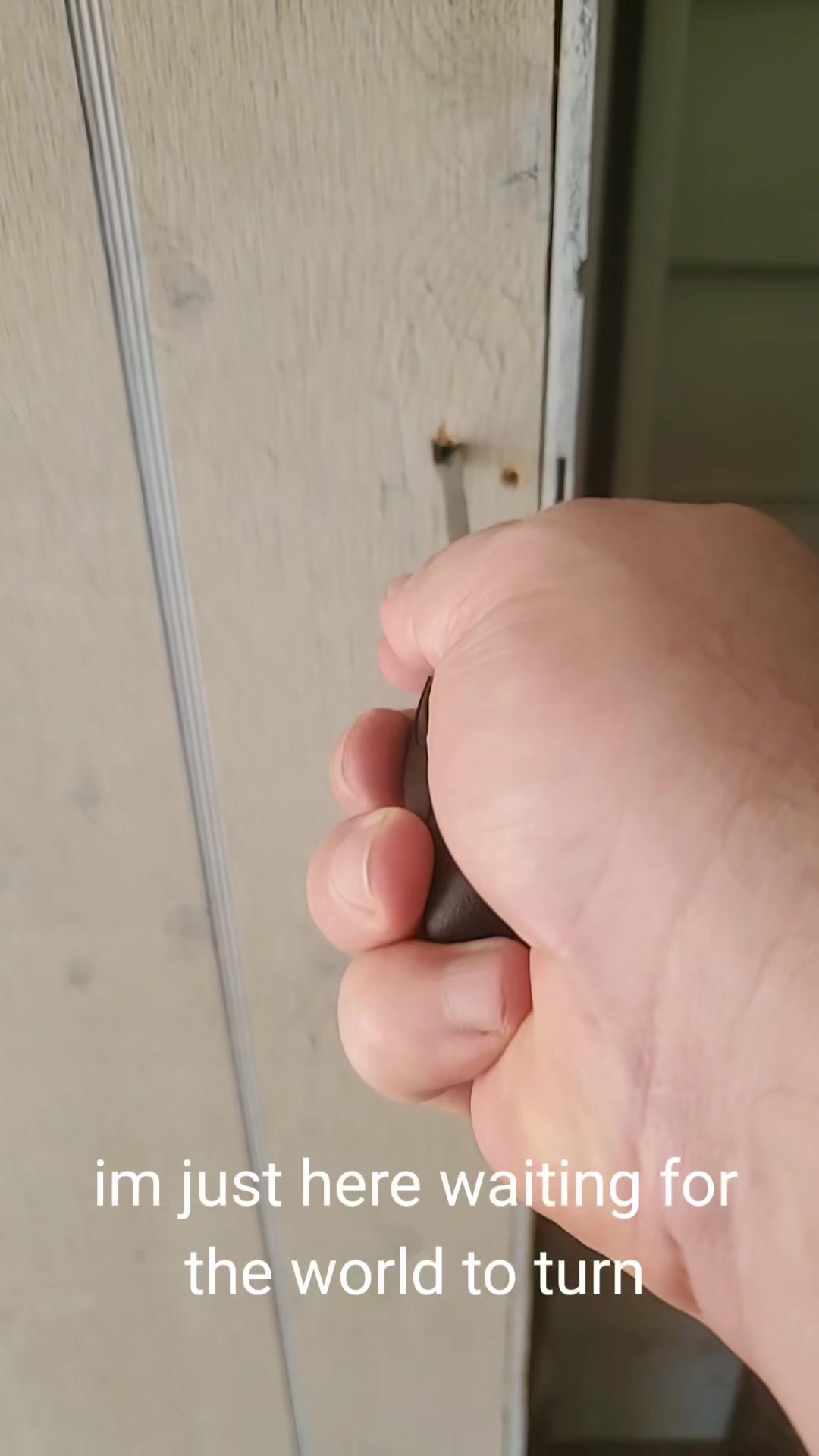 @bugsy