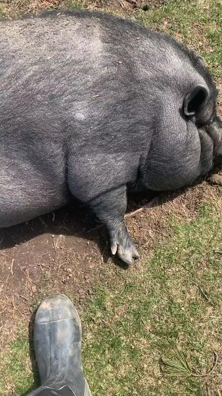 @Tap Rack Ranch