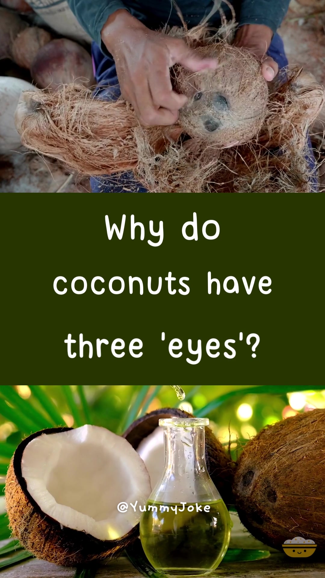 @Yummy Joke