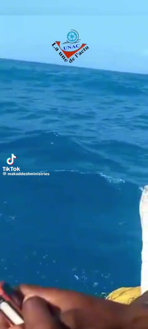 @Fernandy 727645