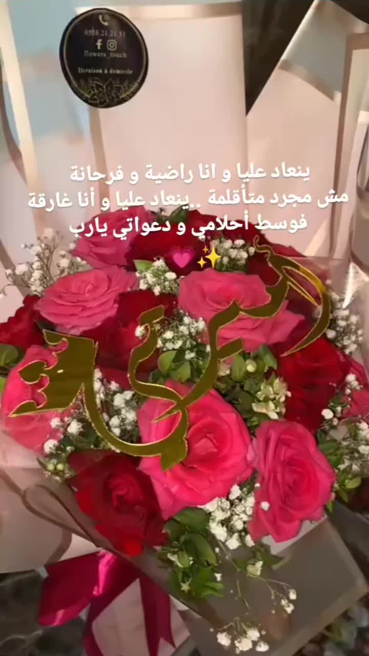 @amira mansour