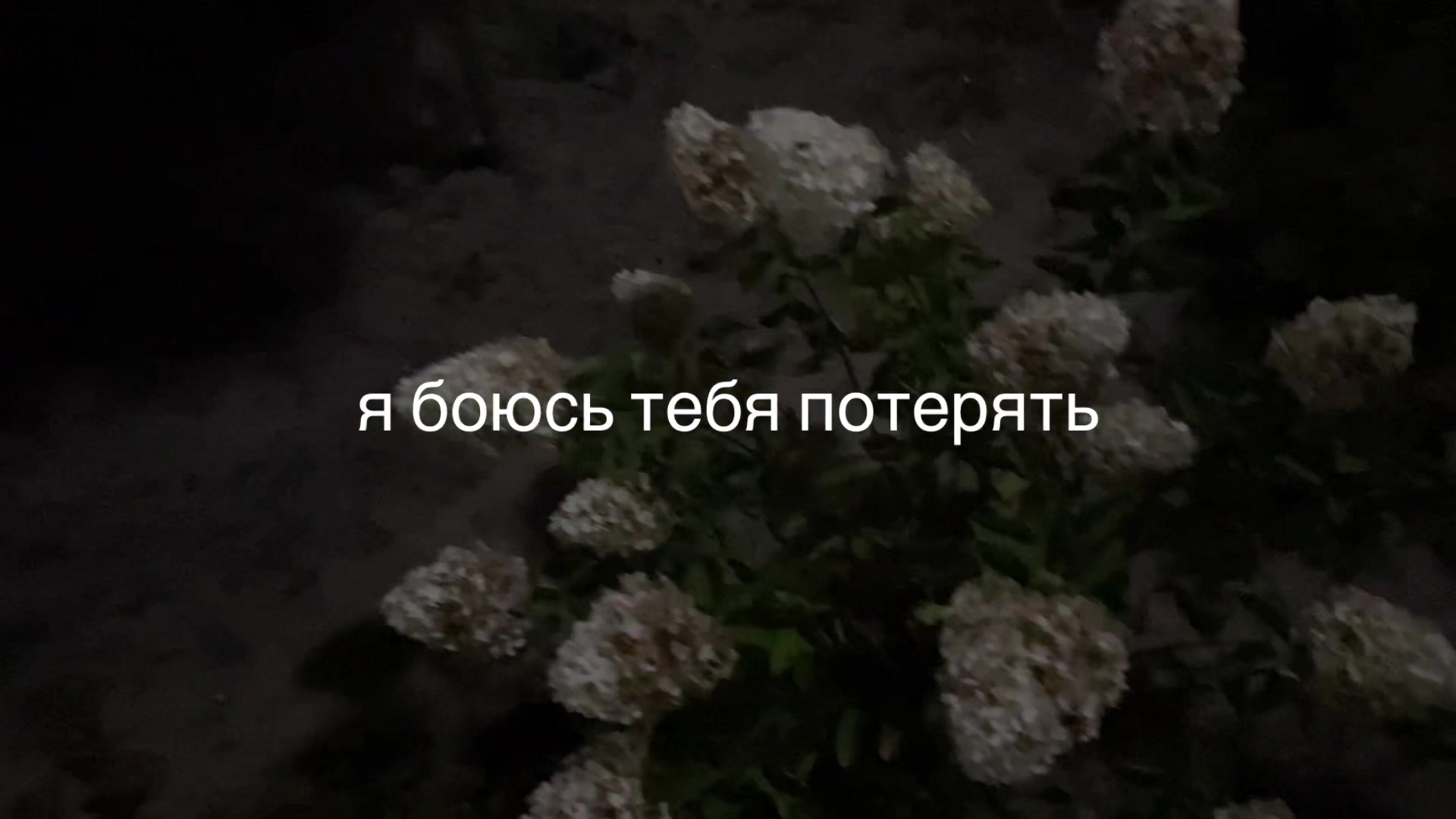 @ミ♡ You're stunning ♡ミ
