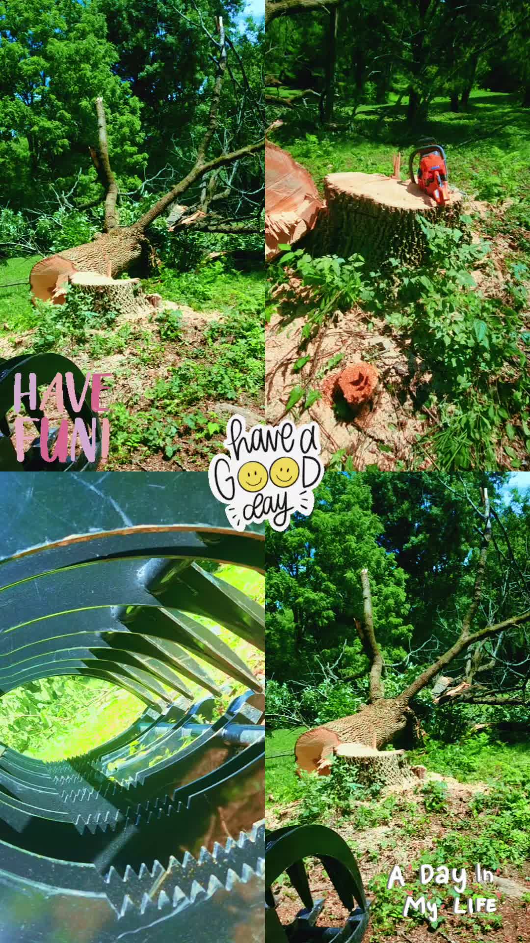 @uwslim