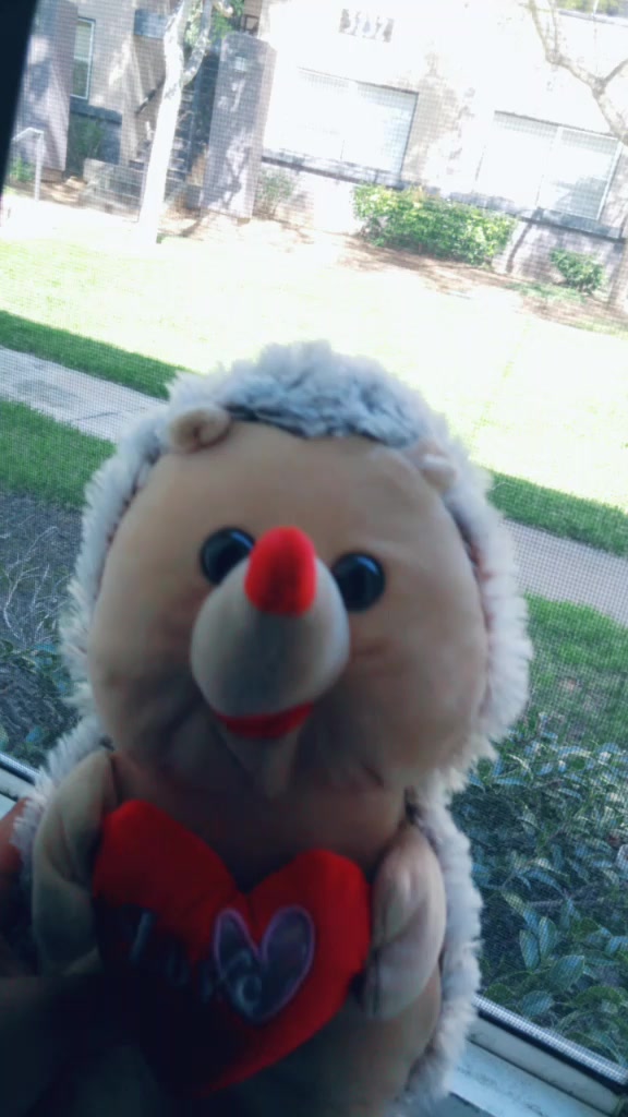 @doritoking
