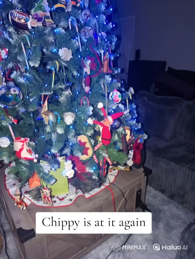 @✝️Todd✝️