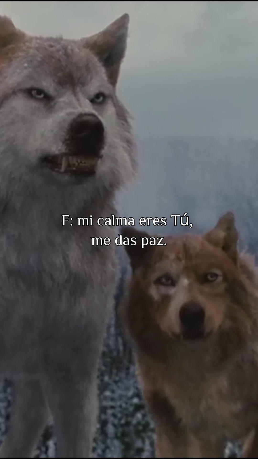 @Aleyop4