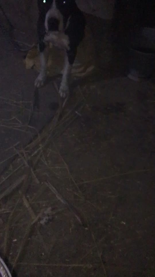 @ਪ੍ਰੀਤ ਸਿੰਘ