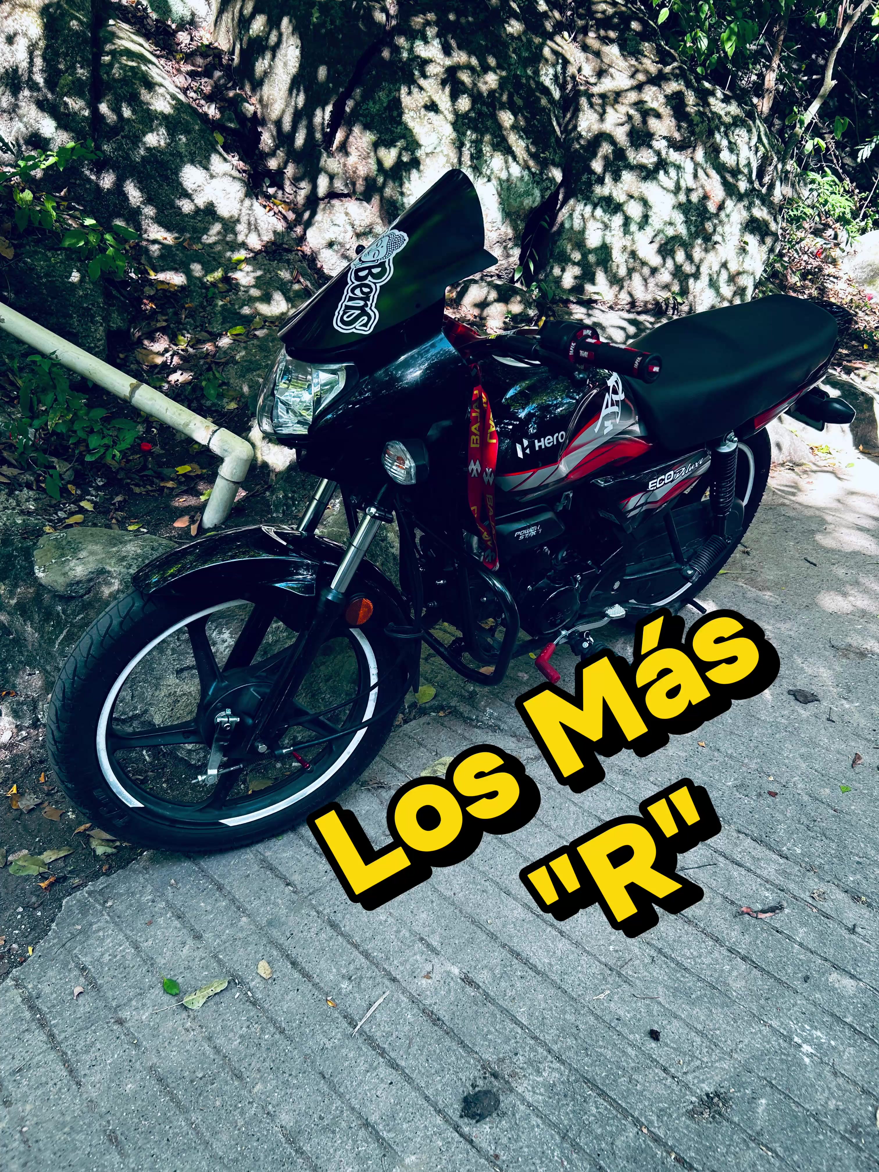 @buda_bens_&reg;