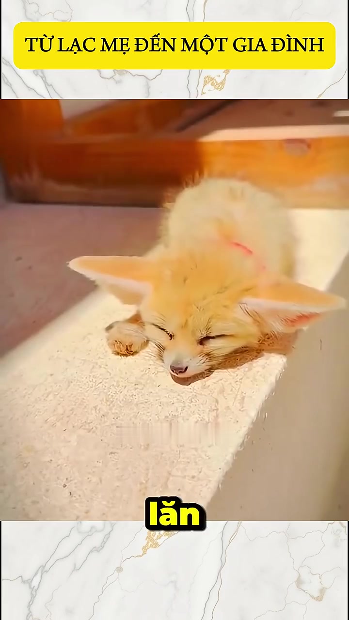 @ghostrider901225