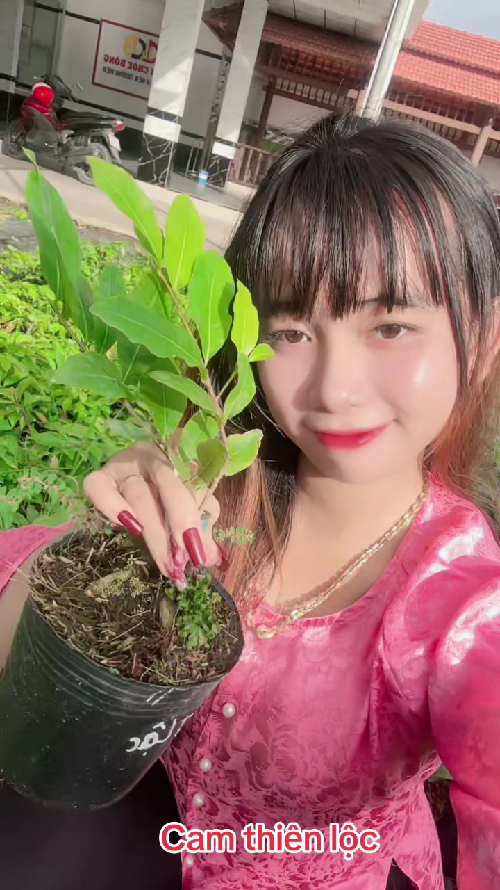 @Chichchoebong79
