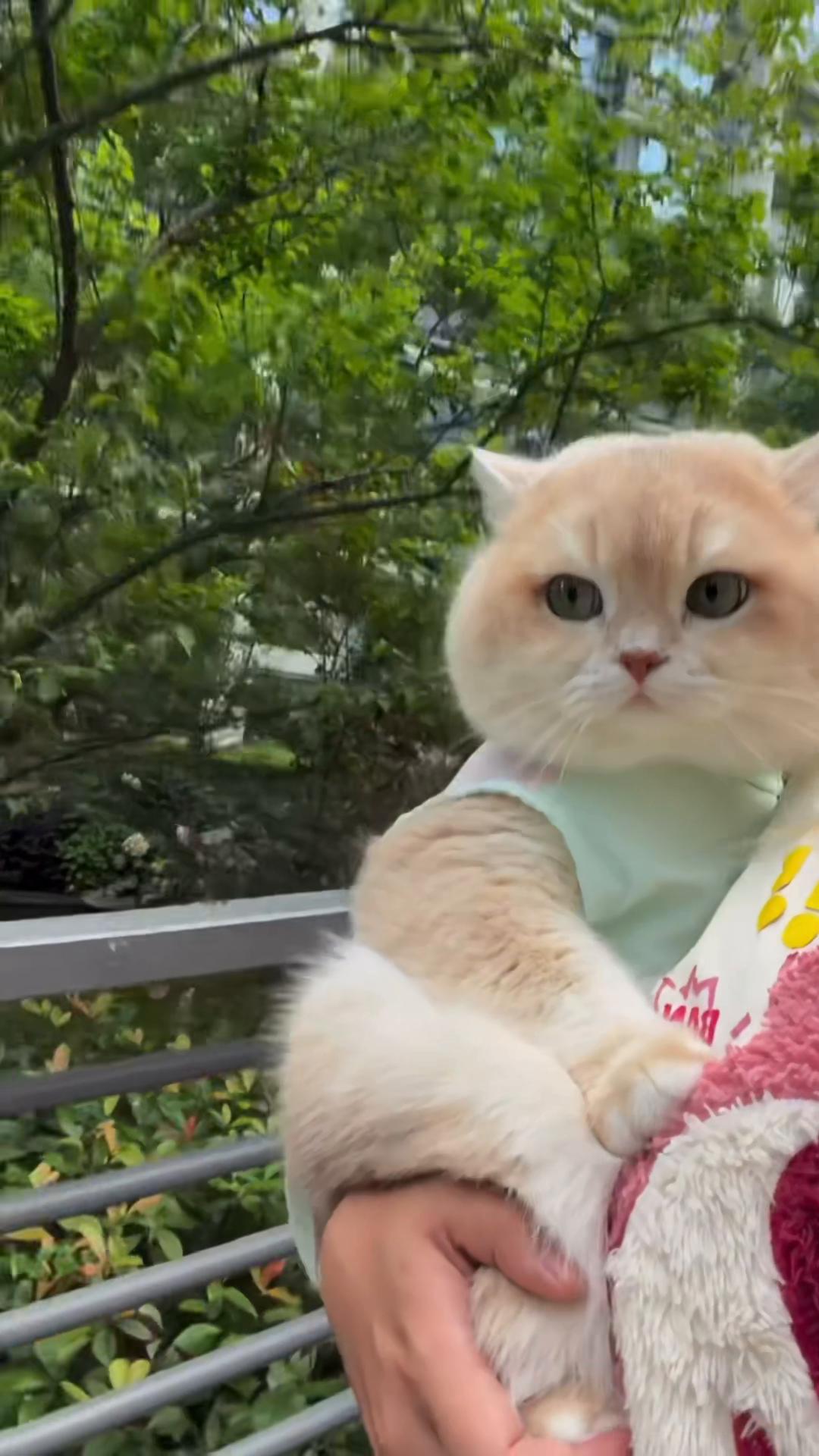@My Daily Dose of Aww