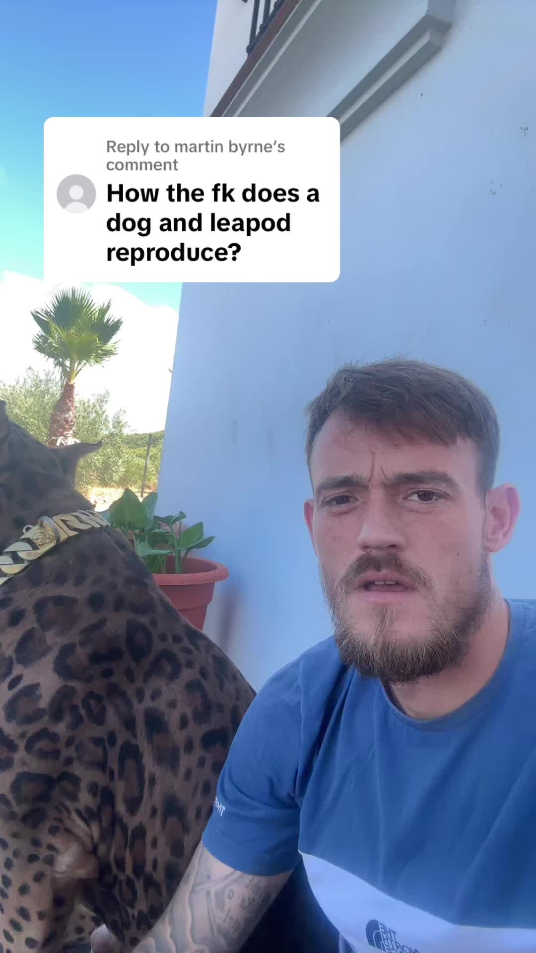 @deanthedogman1