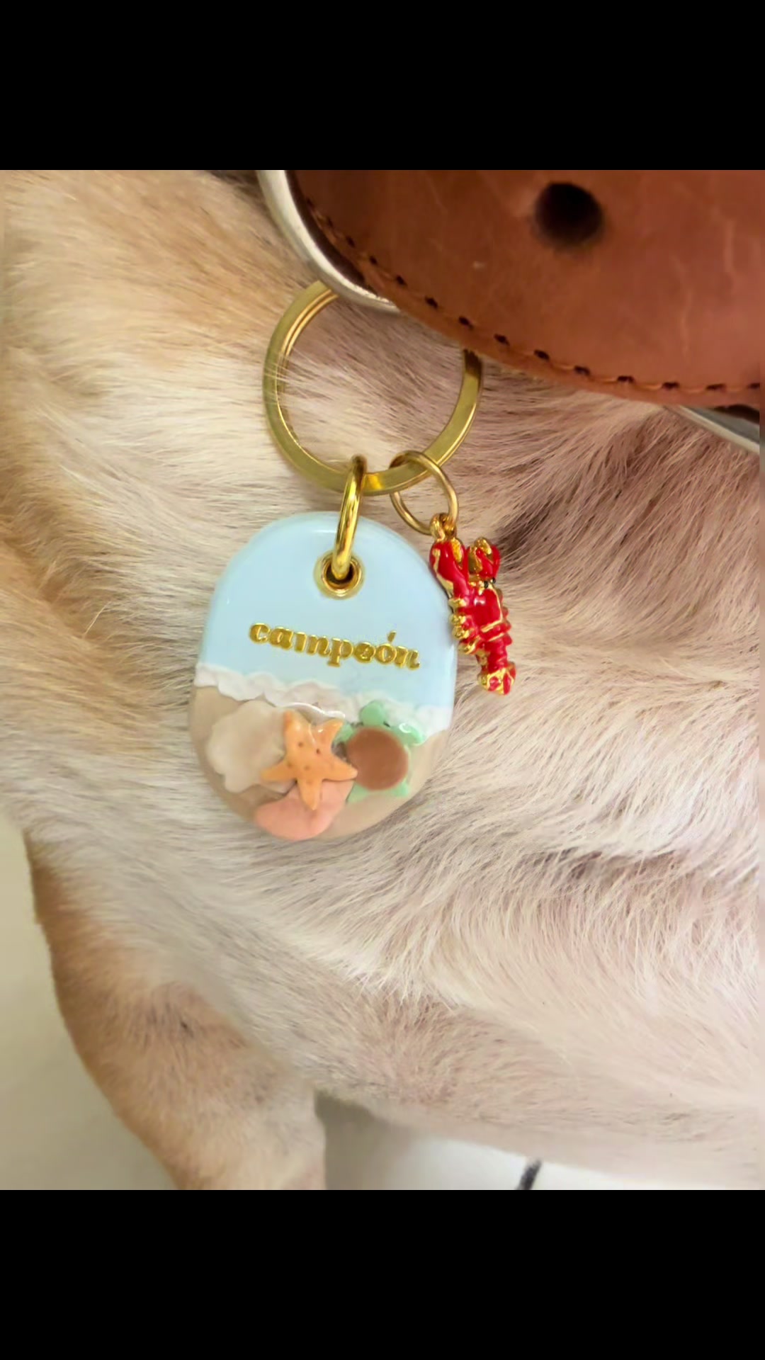 @Campeón Winston