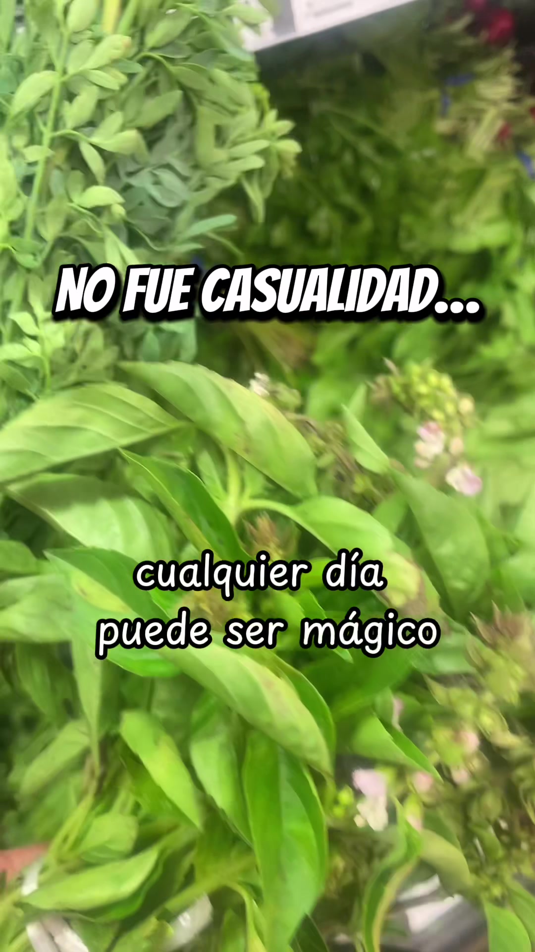 @RitualesPoderosos