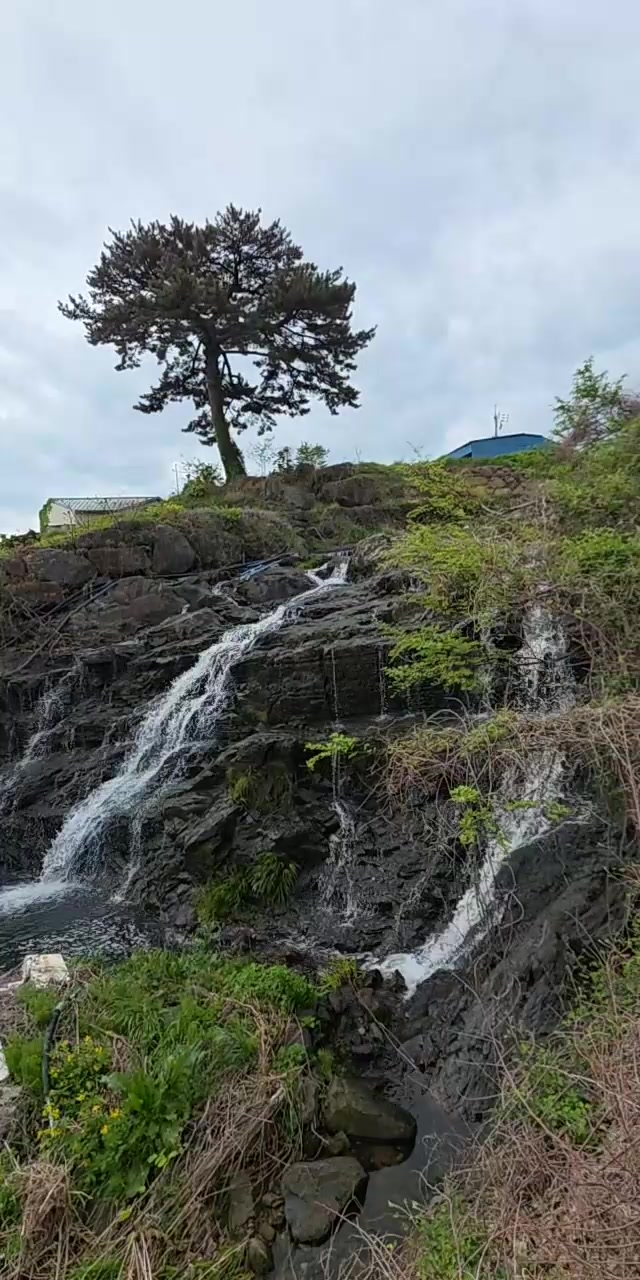 @커피향