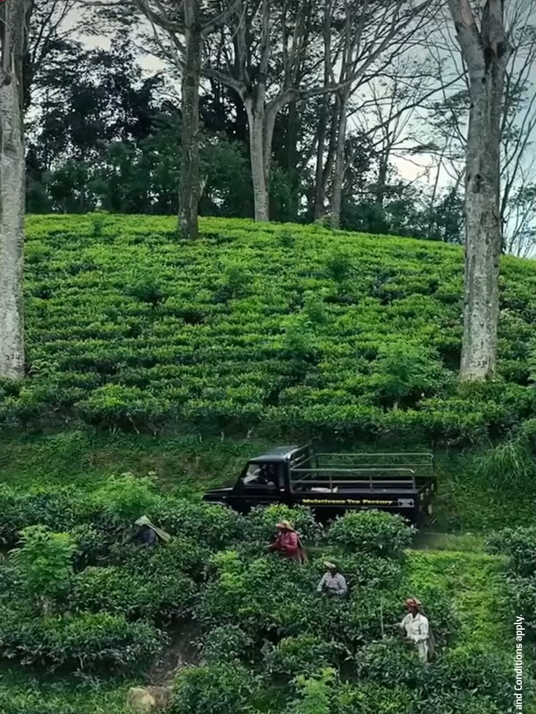 @Ideal Mahindra
