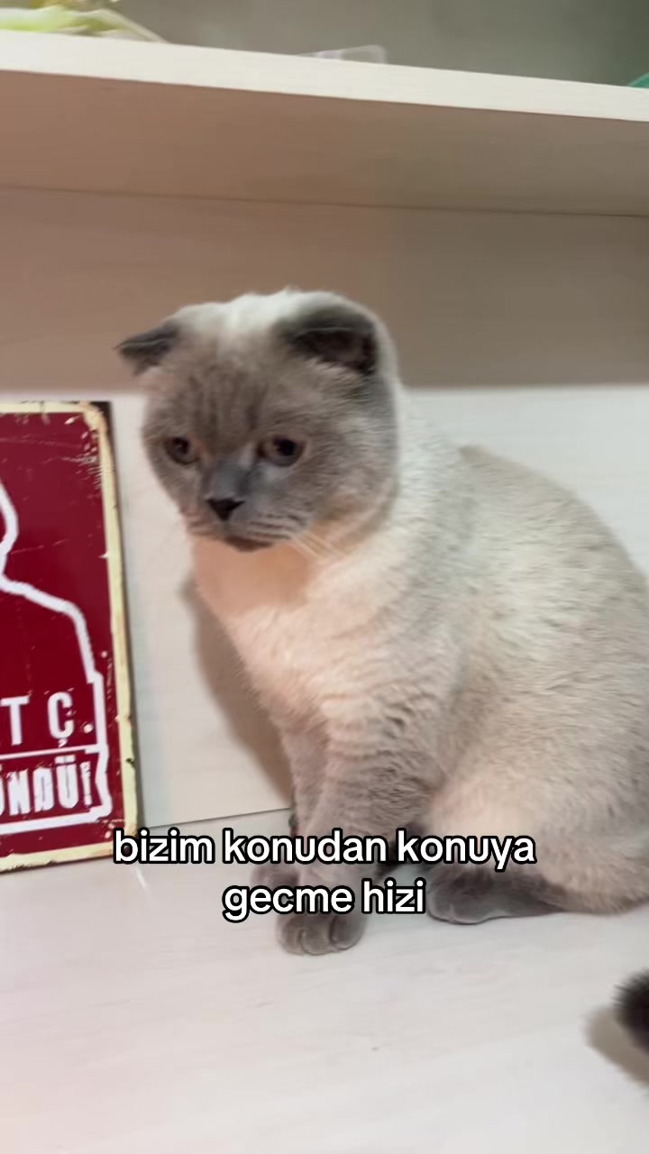 @nisa