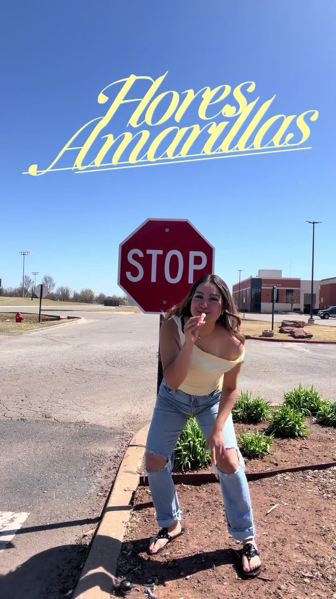 @Elise 🌸