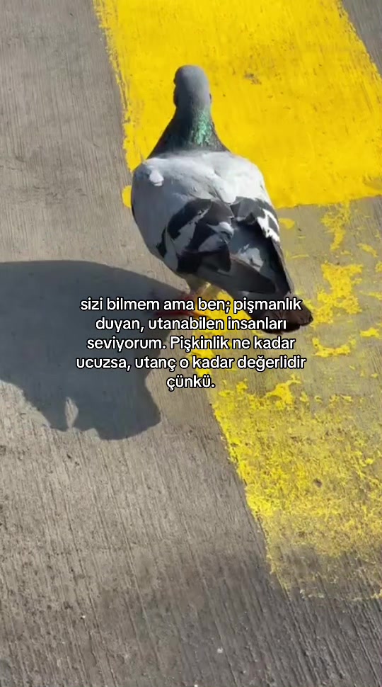 @bakiyogozlerimanaali