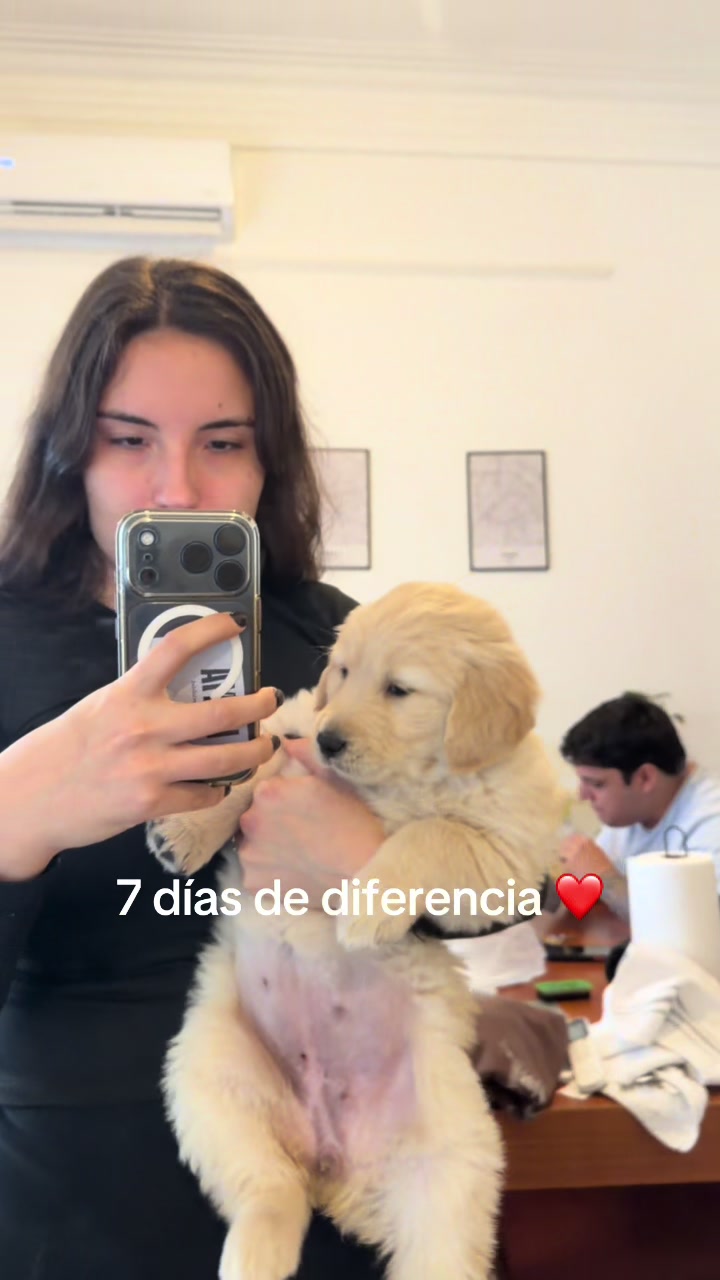 @Panchalagolden