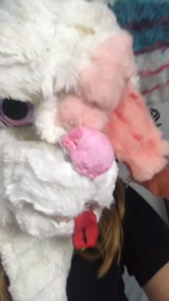 @Furry_Hype_House