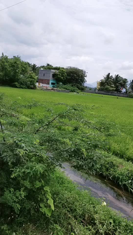@arunyamaha1234