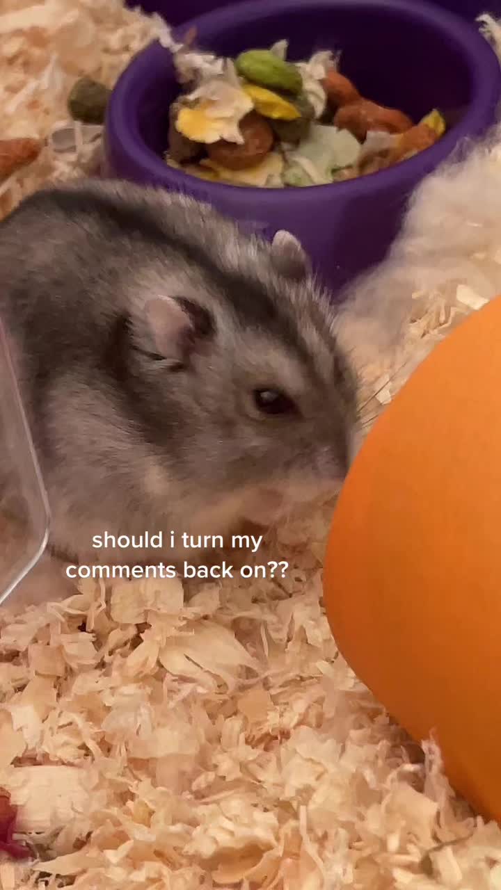 @mabel <3
