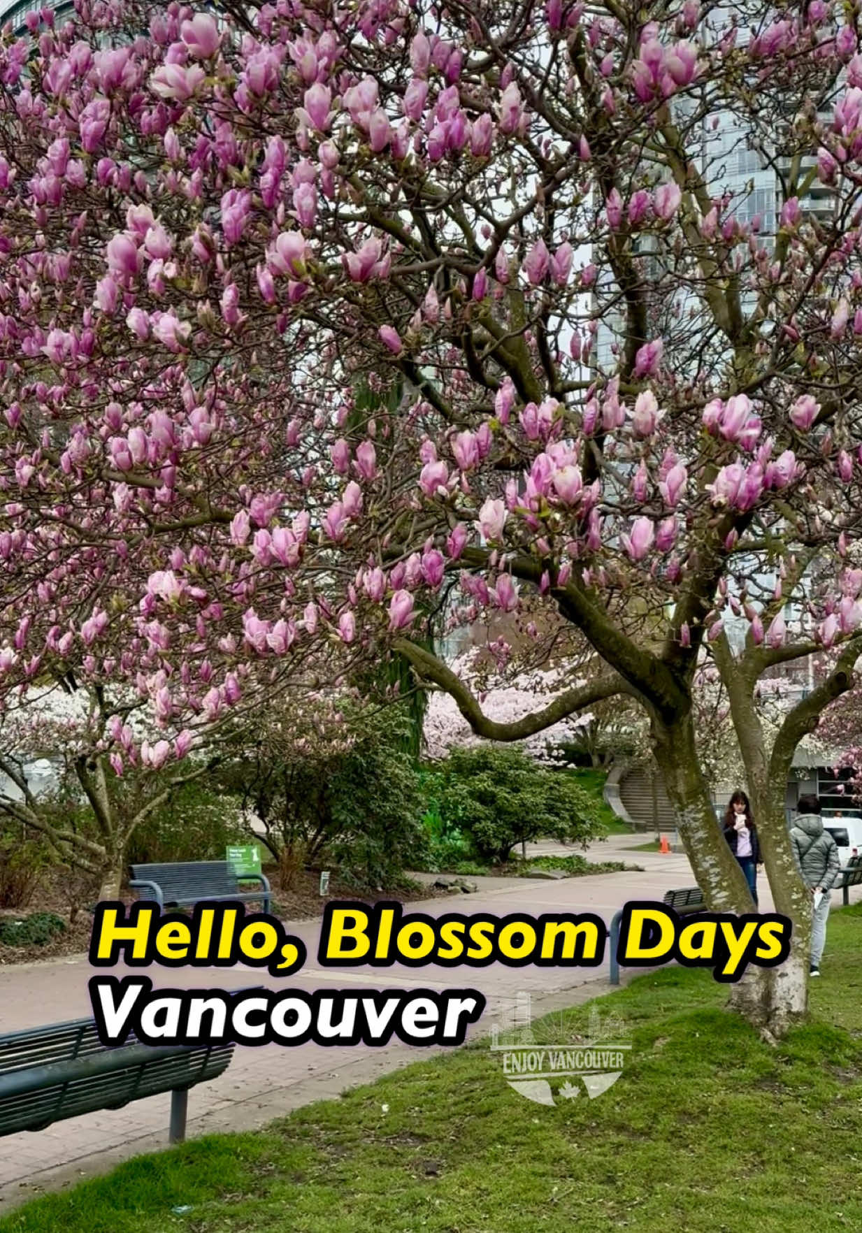 @Enjoy Vancouver|Travel & Media