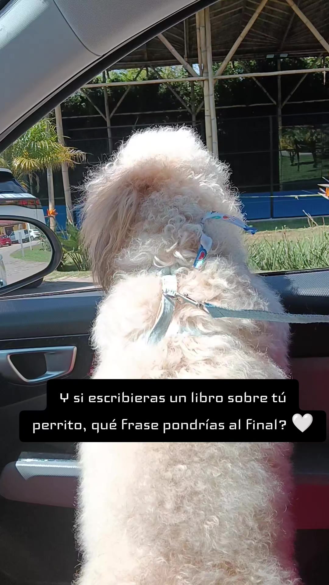 @Anamaravilla