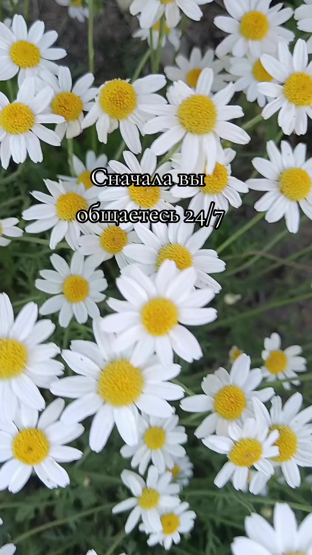 @🦋Натали🦋