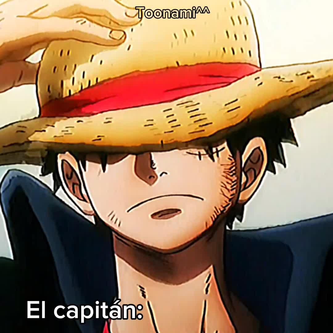 @ToonamiR