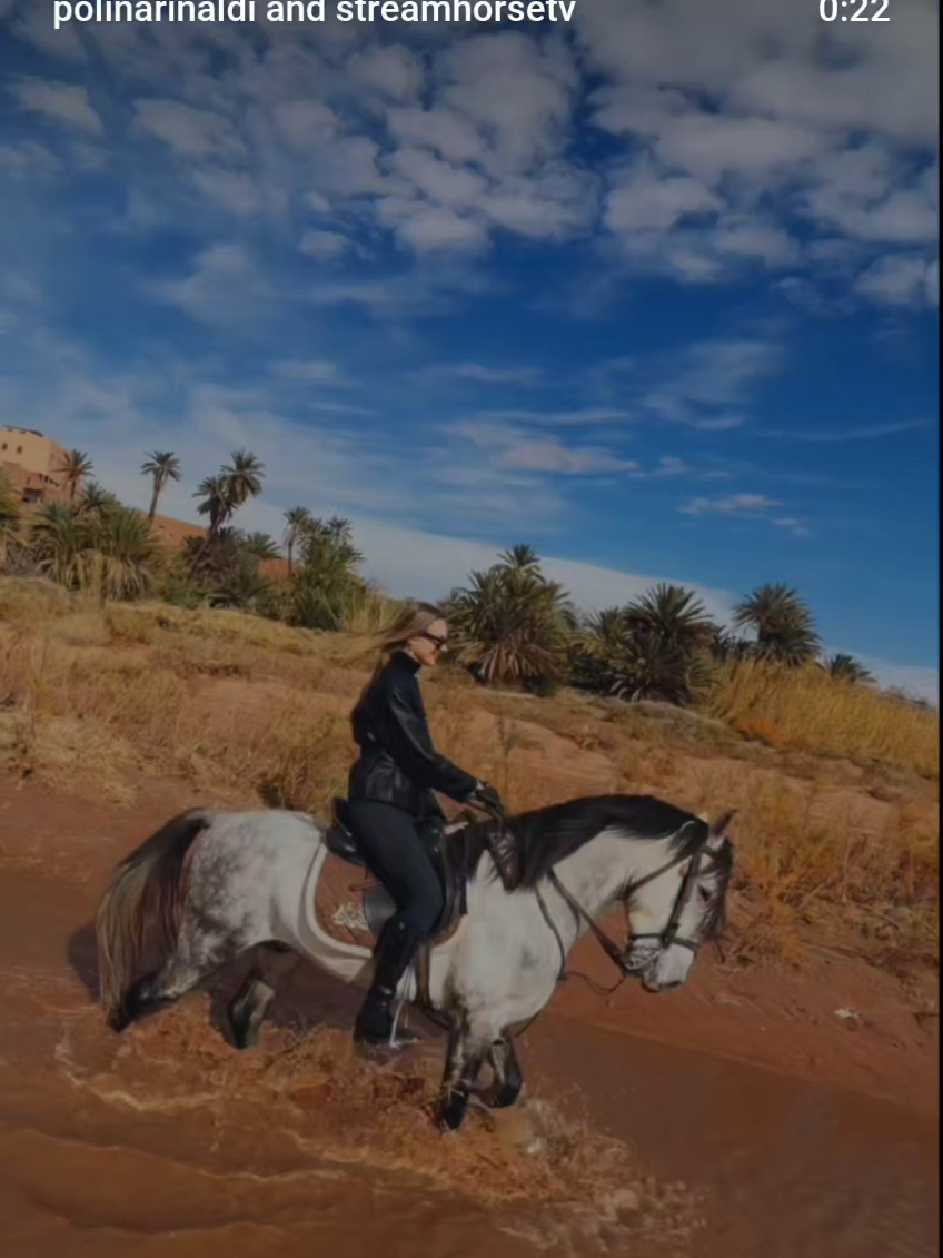 @streamhorse