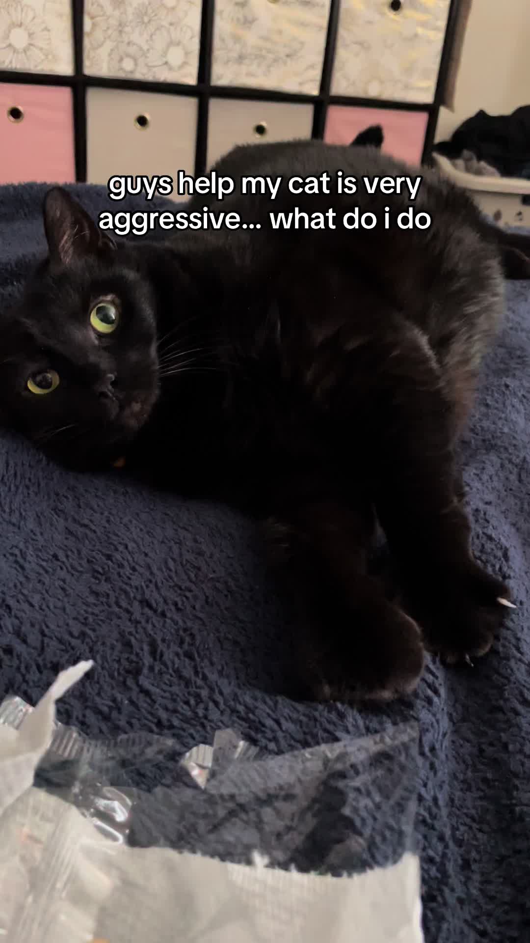 @Fifi La Floof