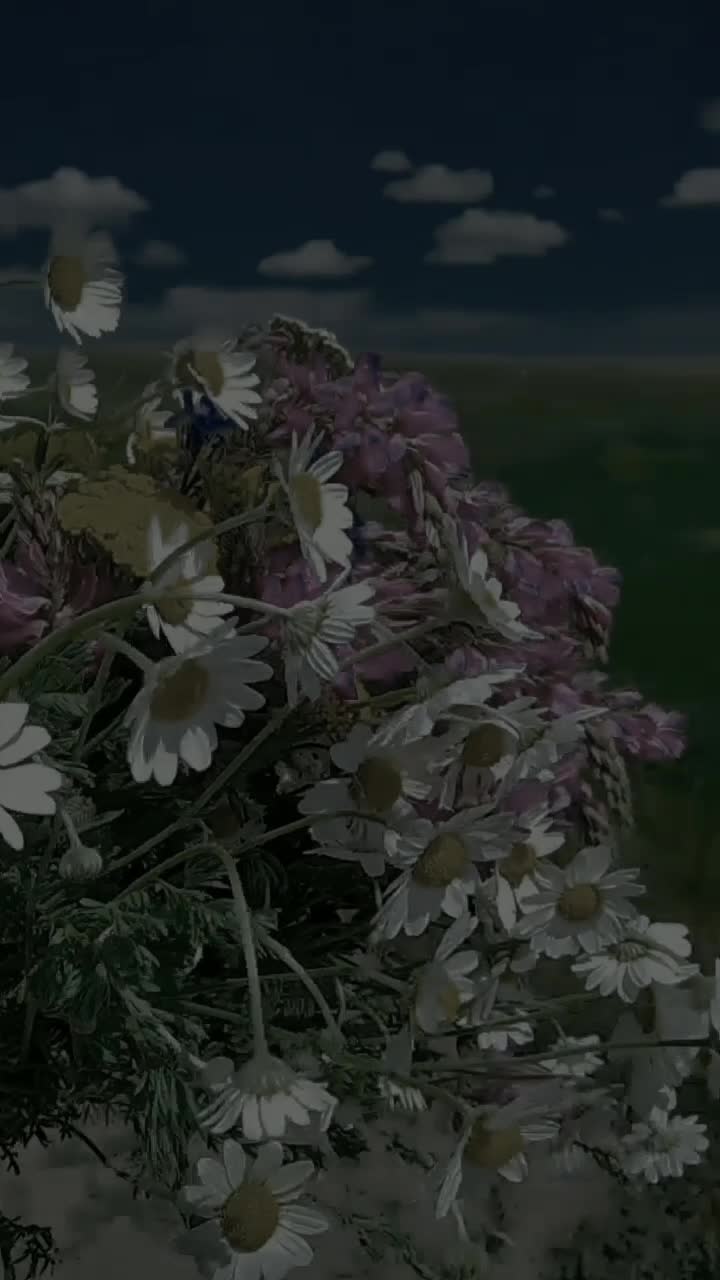 @Volkan_yulali