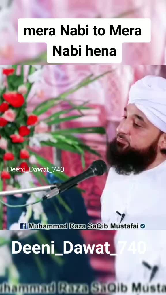 @maulana raza shaqib