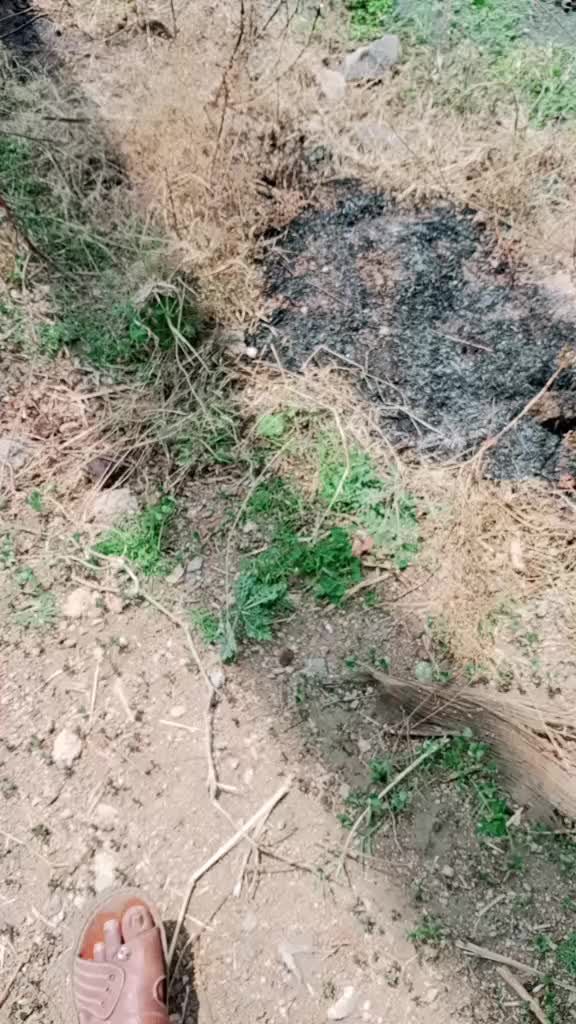 @vadivel123p