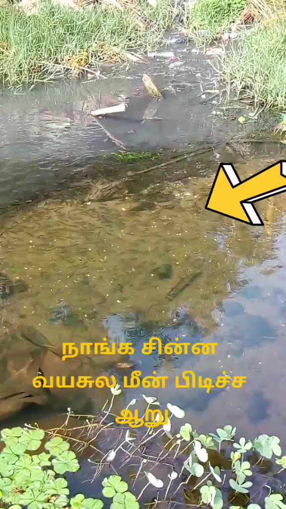 @Selva Kumar