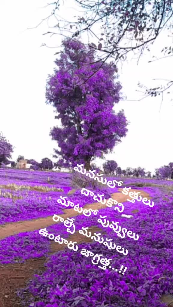 @ANJI